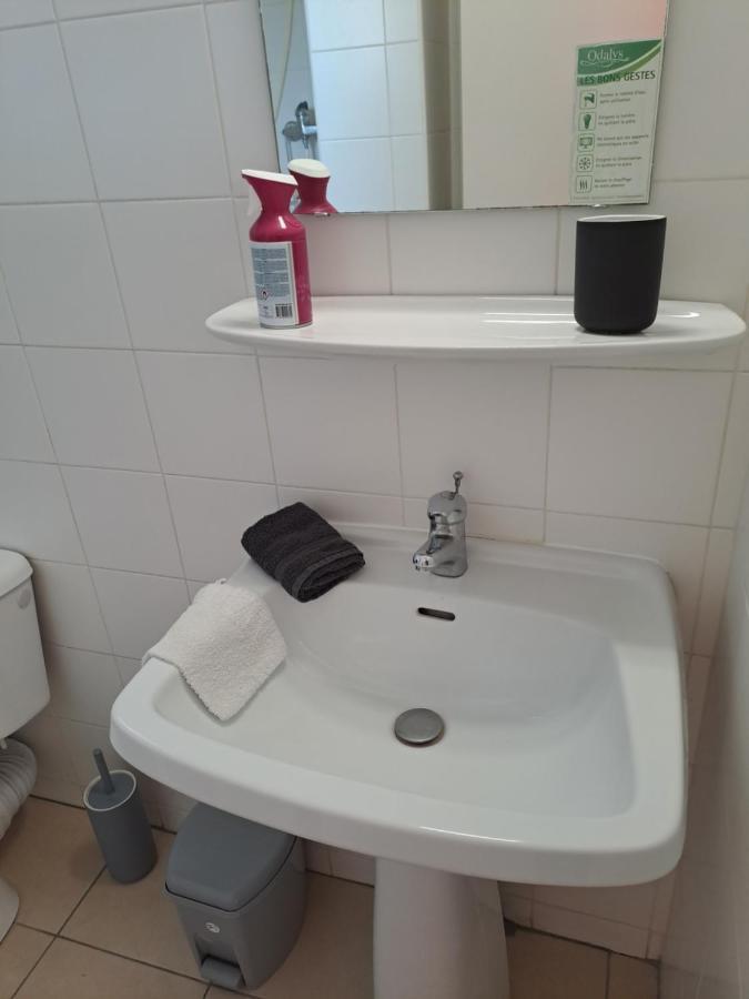 Studio Climatise Box 5 G Residence Odalys Saint Loup, Piscine ,Parking Prive Et Superette 25 阿格德 外观 照片